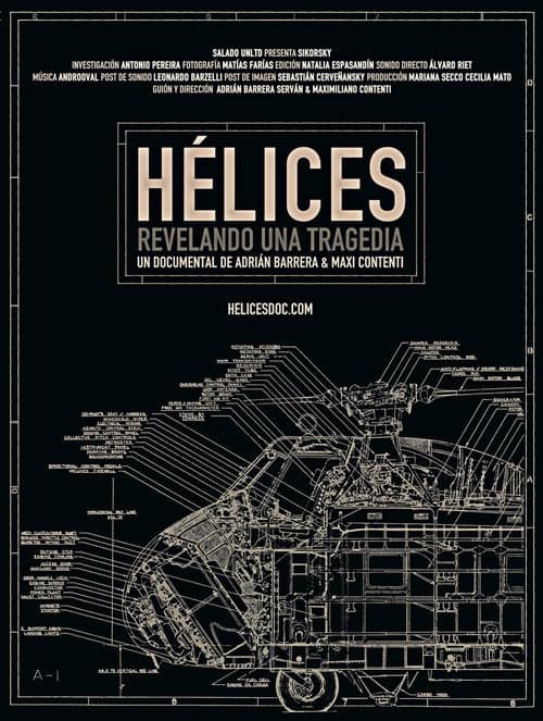 Helices: Revelando una tragedia (2013) poster