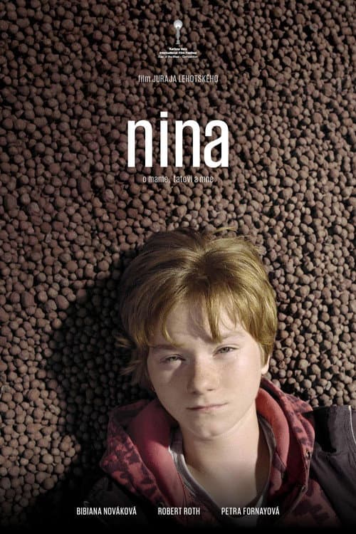Nina (2017) poster