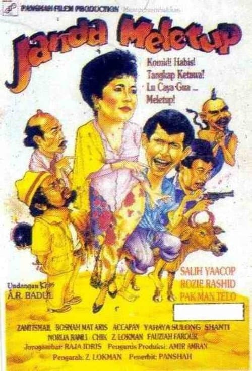 Janda Meletup (1990) poster