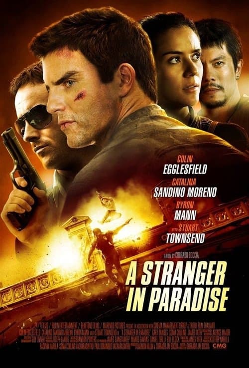 A Stranger in Paradise (2013) poster