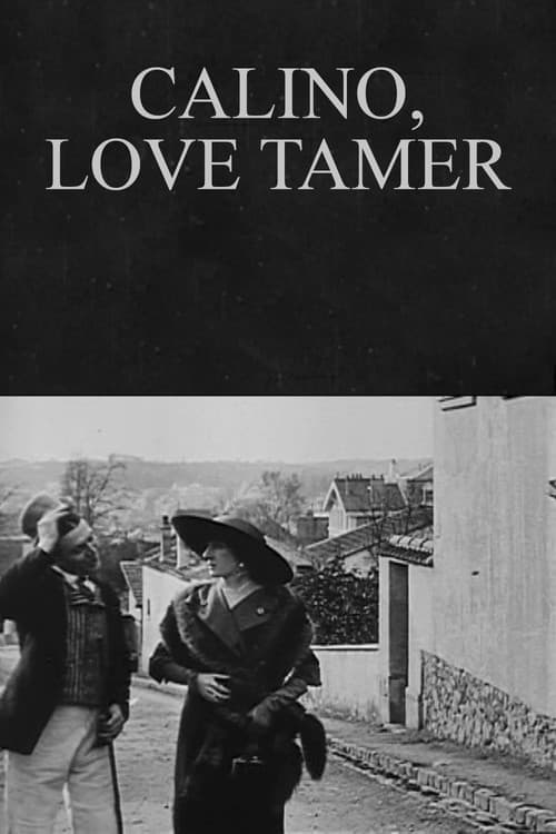 Calino, dompteur par amour (1912) poster