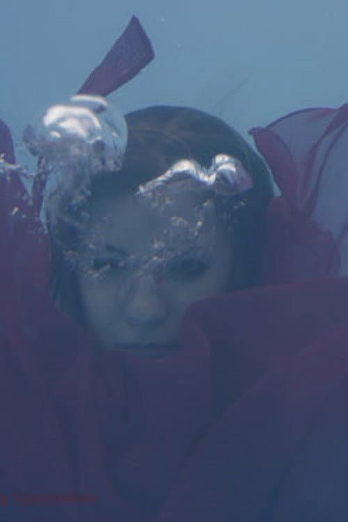 Uniform Sierra (2008) poster