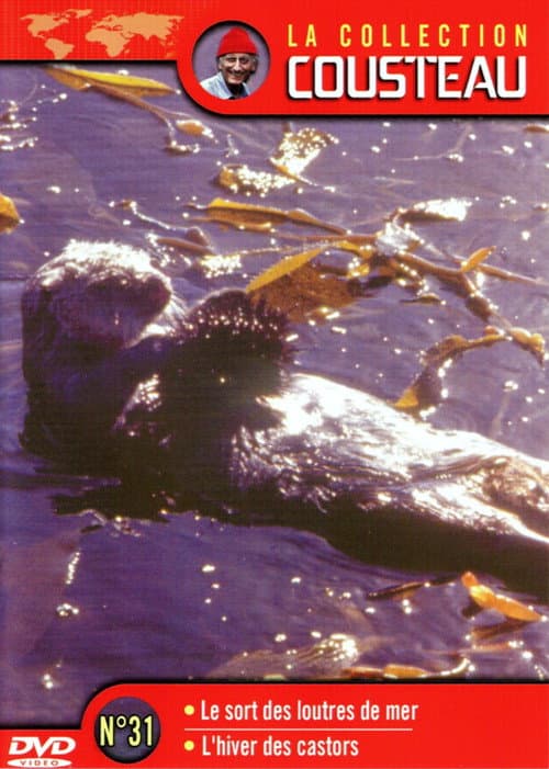 La collection Cousteau N°31 | Le sort des Loutres de mer | L'hiver des castor (1971) poster