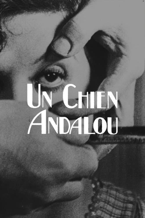 Un chien andalou (1929) poster