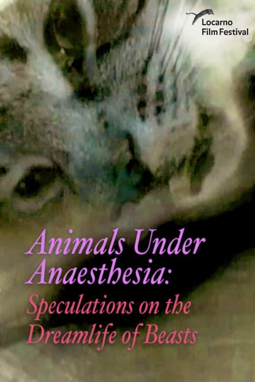 Animals Under Anaesthesia: Speculations on the Dreamlife of Beasts (2017) poster