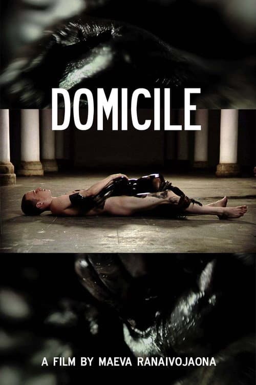 Domicile (2012) poster