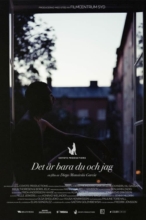 Det är bara du och jag (2024) poster