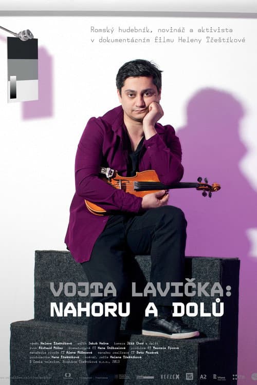 Vojta Lavička: Nahoru a dolů (2013) poster