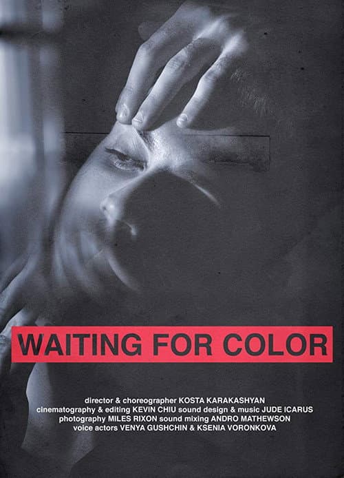Waiting for Color (2018) poster