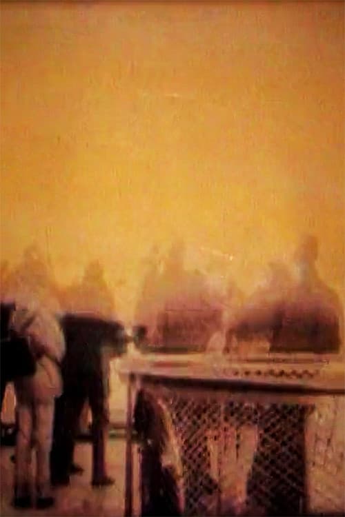 Magic Ferry-2 (2005) poster