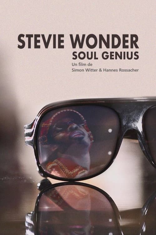 Stevie Wonder - Soul Genius (2013) poster
