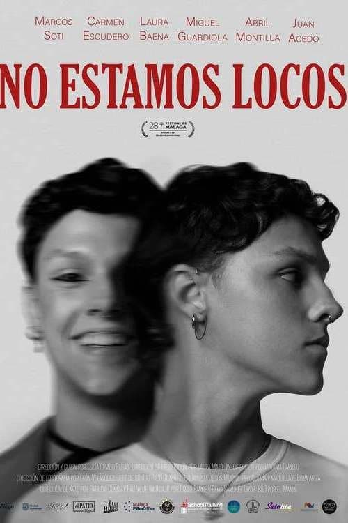 No estamos locos (2025) poster