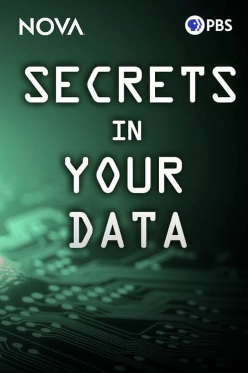 Secrets in Your Data (2024) poster