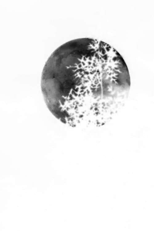 Negative Capability (2024) poster