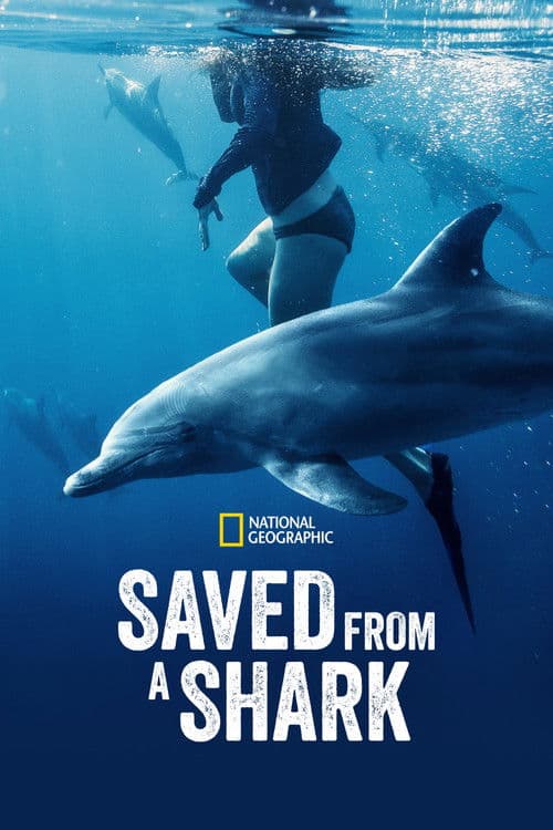 Saved from a Shark (2023) poster
