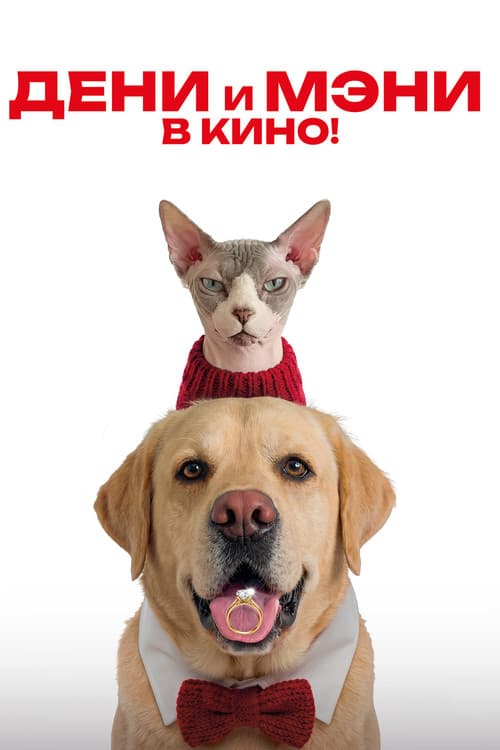 Дени и Мэни. В кино! (2026) poster