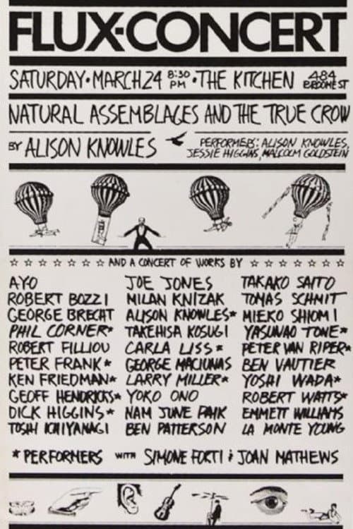 Flux-Concert (1979) poster