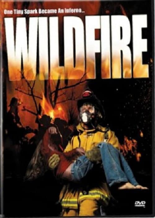 Wild Fire (2003) poster