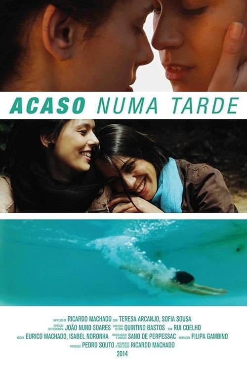 Acaso Numa Tarde (2013) poster