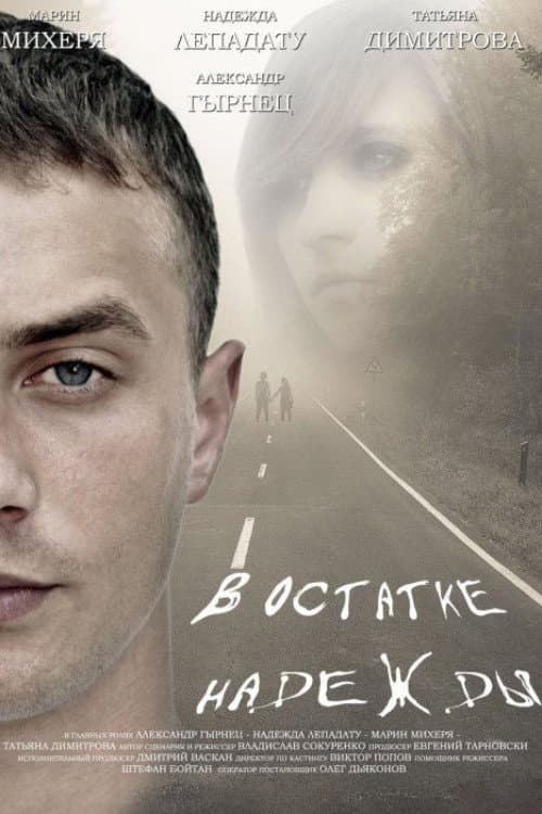 В остатке надежды (2012) poster