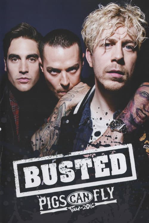 Busted: Pigs Can Fly Tour 2016 (2018) poster
