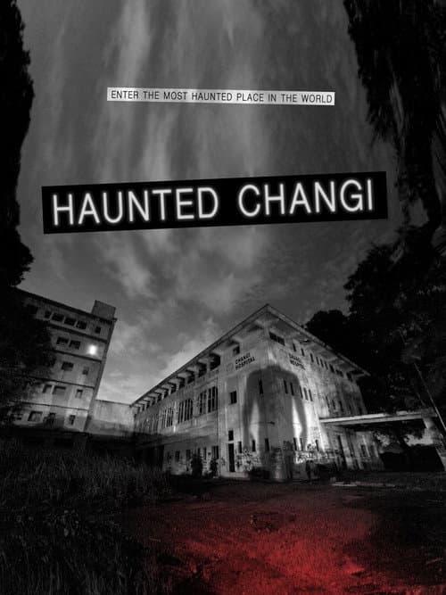 Haunted Changi (2010) poster