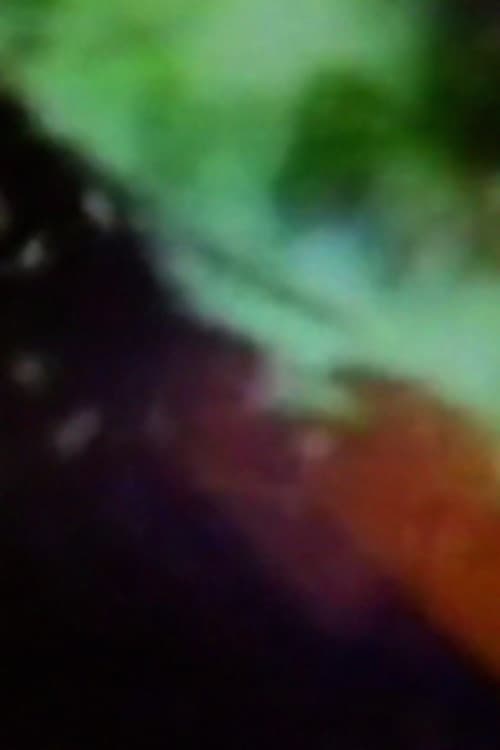 Bent Light (1976) poster