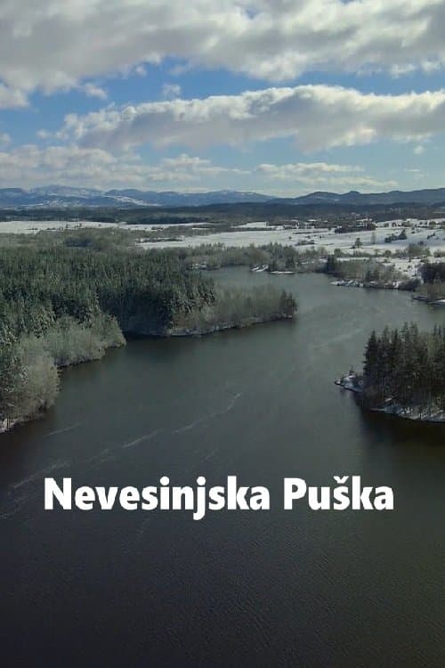Nevesinjska puška (2025) poster