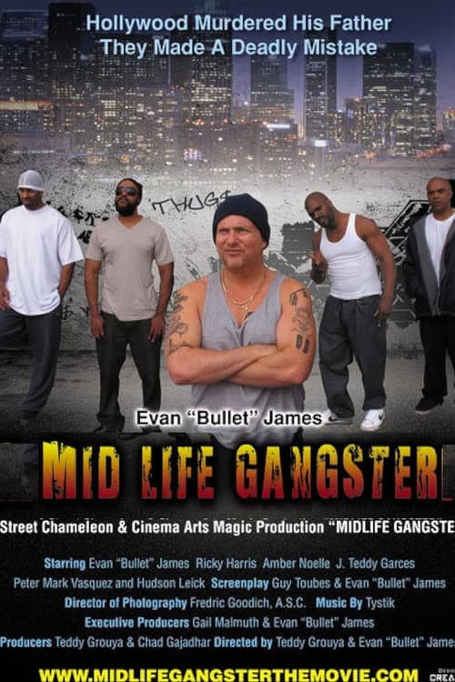 Mid Life Gangster (2013) poster