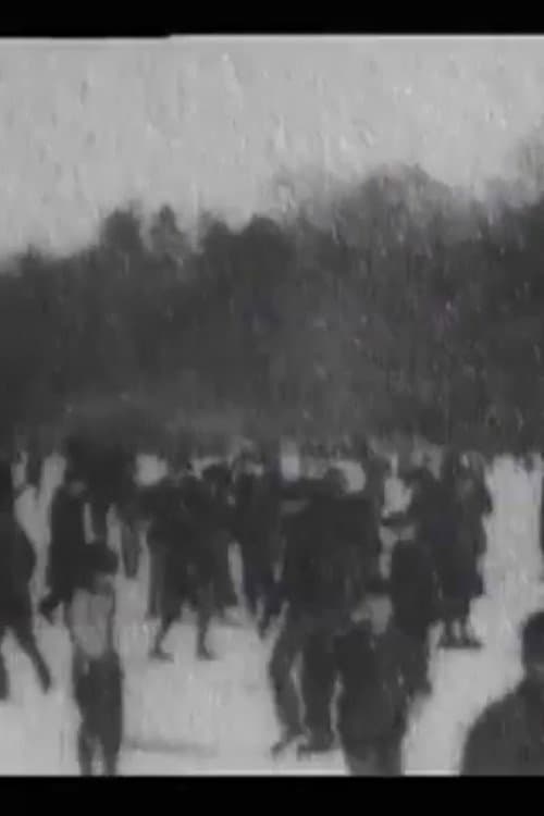 Skating on Lake, Central Park (1900) poster