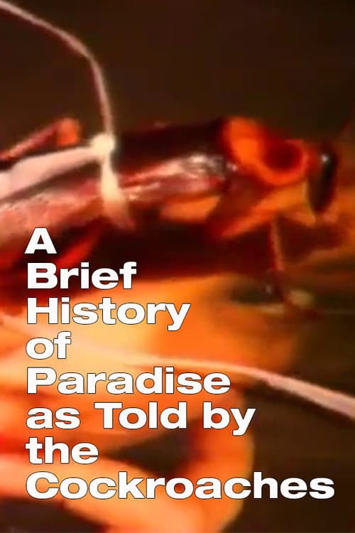 A Brief History of Paradise as Told by the Cockroaches (2003) poster