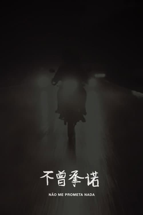 Não me prometa nada (2016) poster