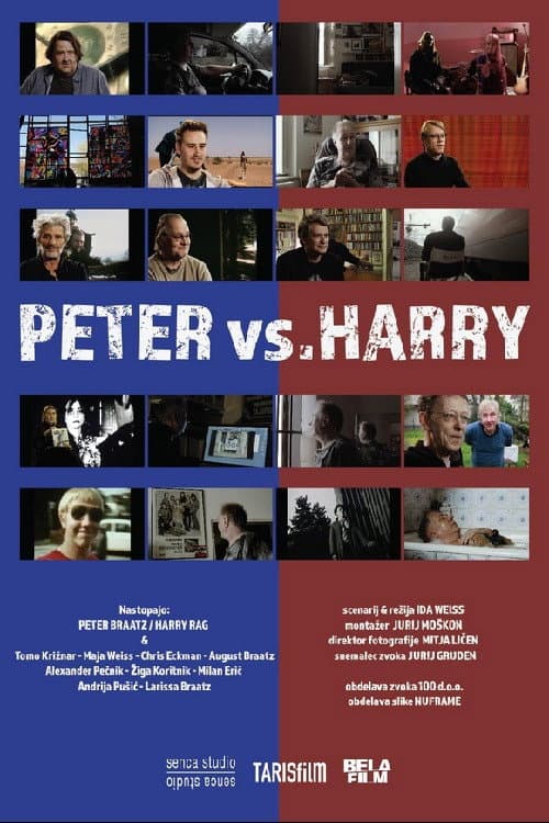 Peter vs. Harry (2018) poster
