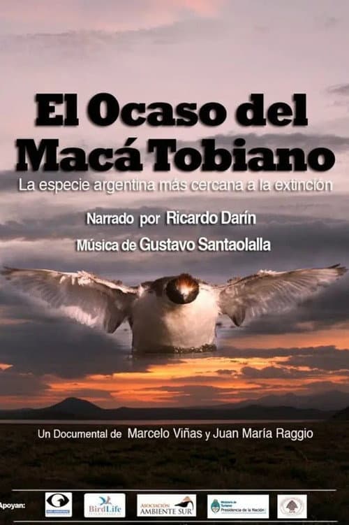 El Ocaso del Macá Tobiano (2012) poster