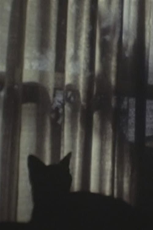 CAT & CURTAIN (1995) poster