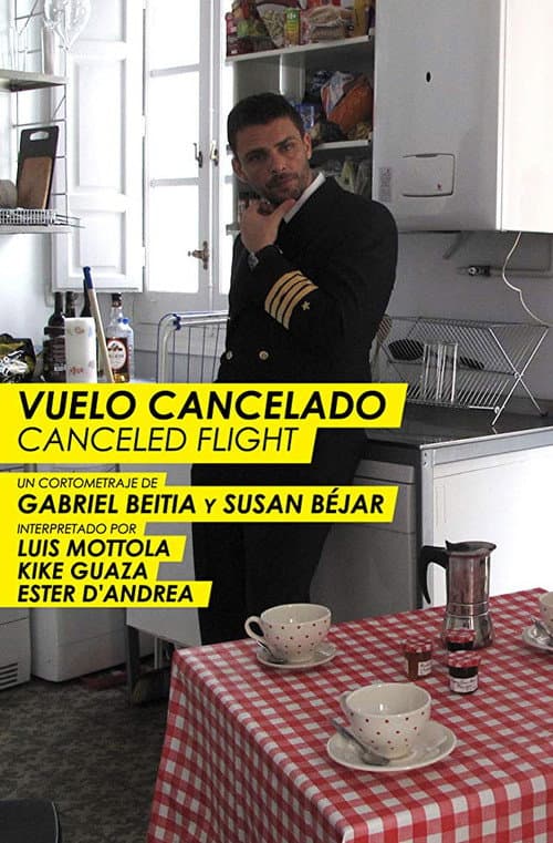 Vuelo cancelado (2011) poster