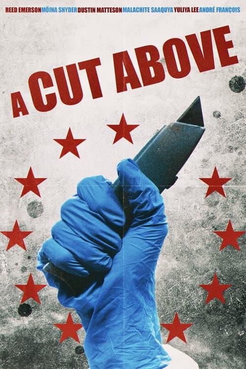A Cut Above (2026) poster