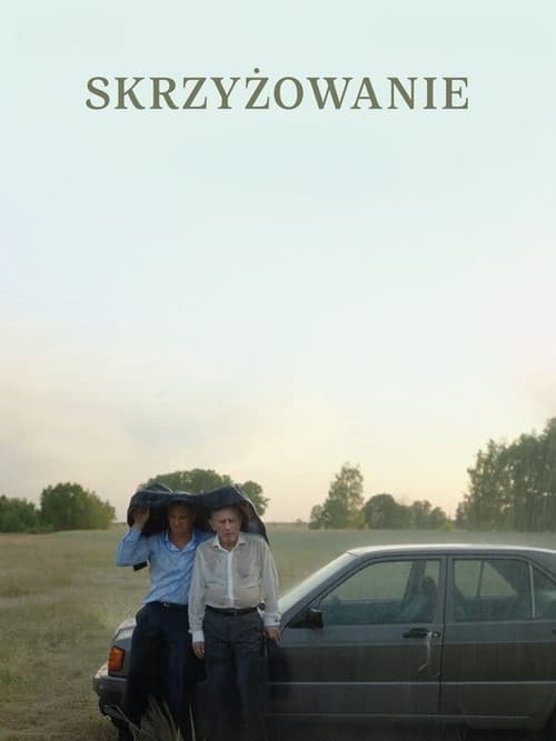 Skrzyżowanie (2025) poster