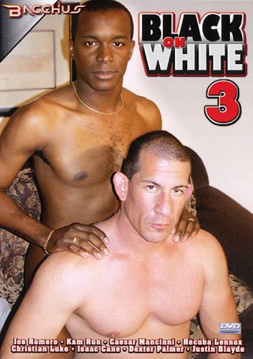 Black on White 3 (2005) poster