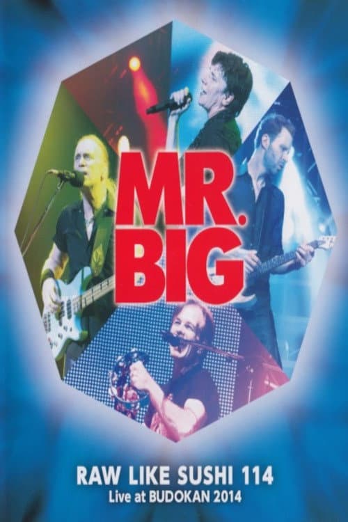 Mr. Big: Raw Like Sushi 114 (2015) poster