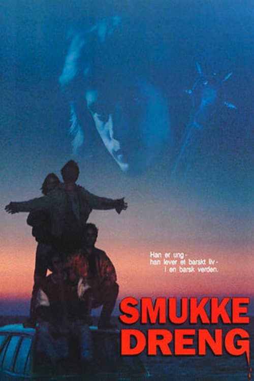 Smukke Dreng (1993) poster