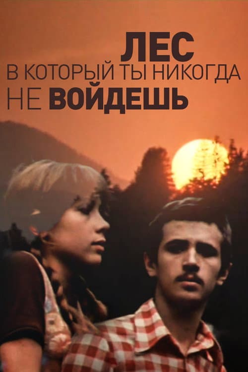 Pădurea în care nu vei intră (1978) poster