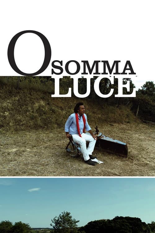 O somma luce (2011) poster