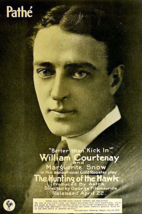 The Hunting of the Hawk (1917) poster