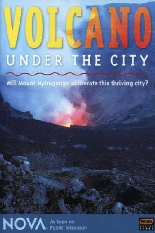 Nova: Volcano Under the City (2006) poster