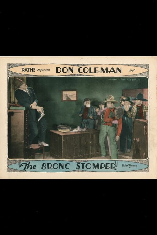 The Bronc Stomper (1928) poster