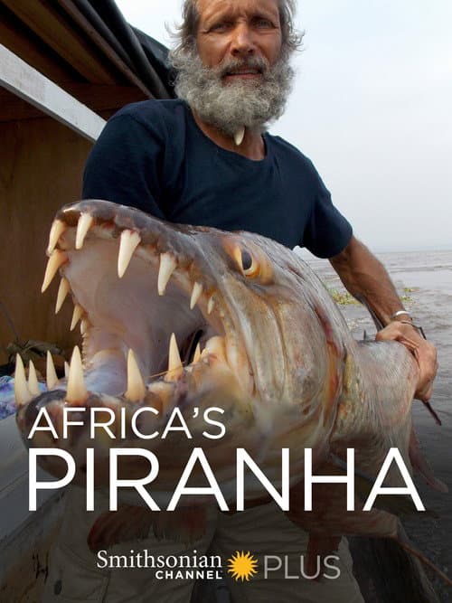 Africa's Piranha (2014) poster