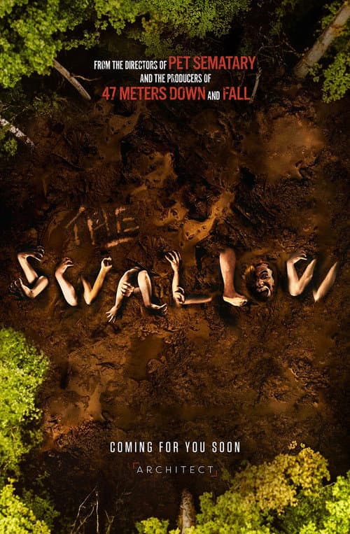 The Swallow (2026) poster