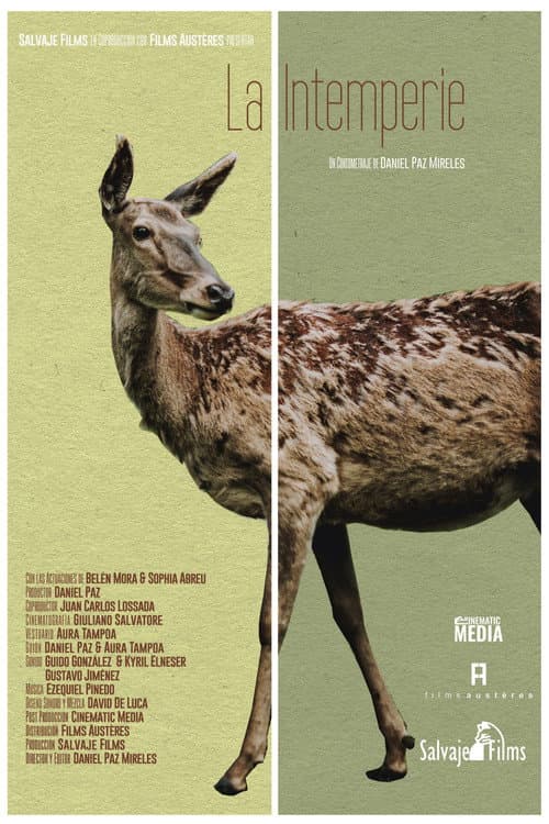 La intemperie (2021) poster