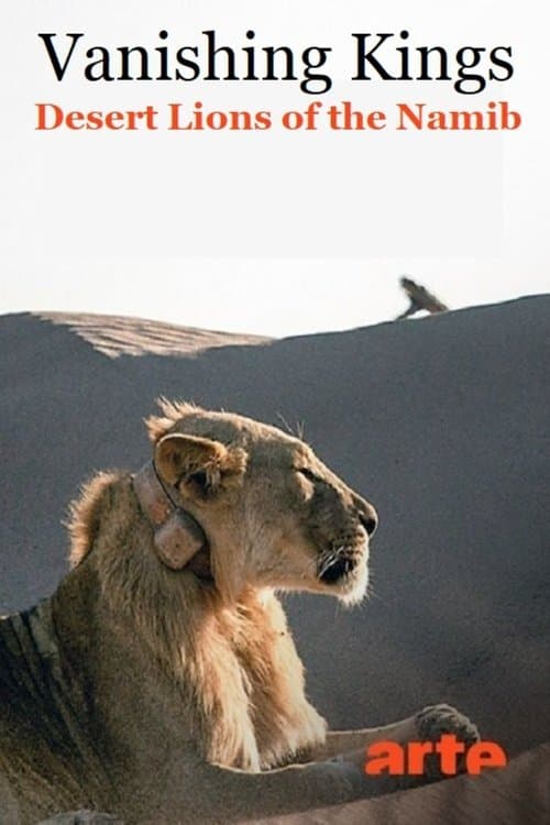 Vanishing Kings: Desert Lions of the Namib (2015) poster